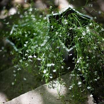 Stjärnkruka Blumentopf - Aluminium, hoch Ø30 cm - Byarums bruk