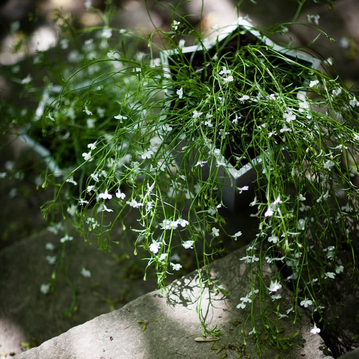 Stjärnkruka Blumentopf - Aluminium, hoch Ø30 cm - Byarums bruk