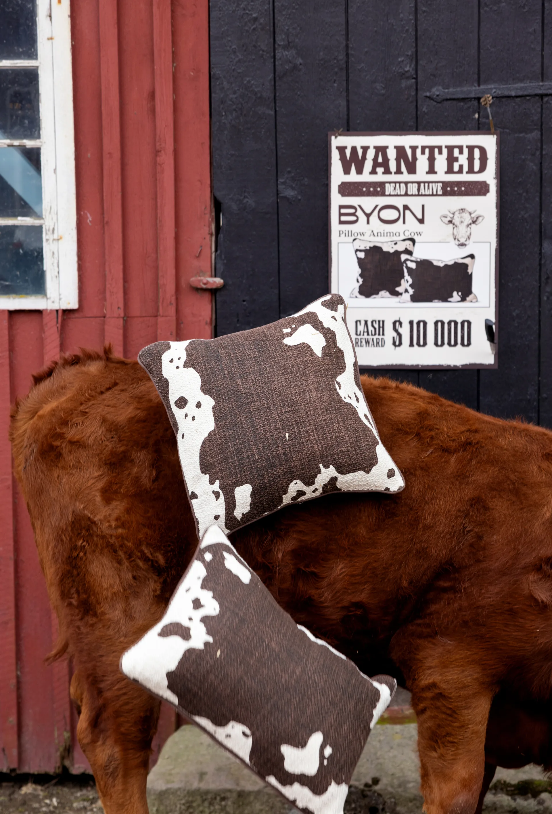 Anima Kissen L 40x60 cm, Kuh Byon