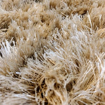 Shaggy Teppich 200 x 300cm - Champagne - Classic Collection