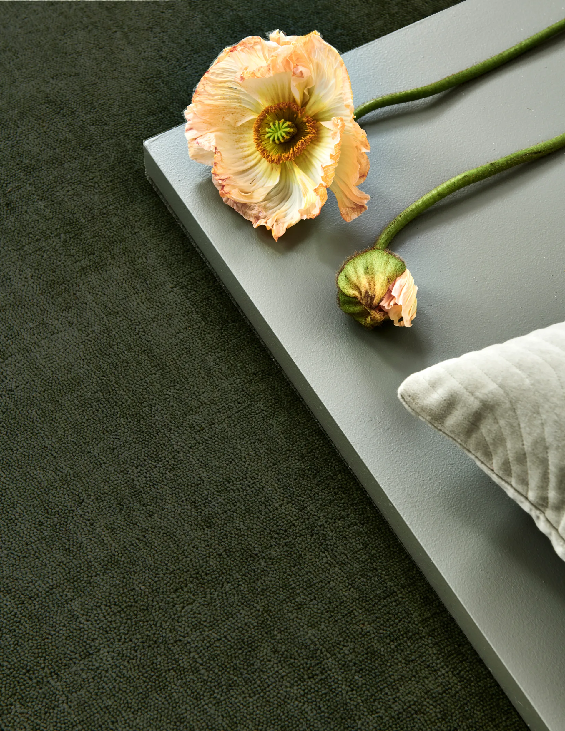 Solid Teppich, Green, 250x350 cm Classic Collection