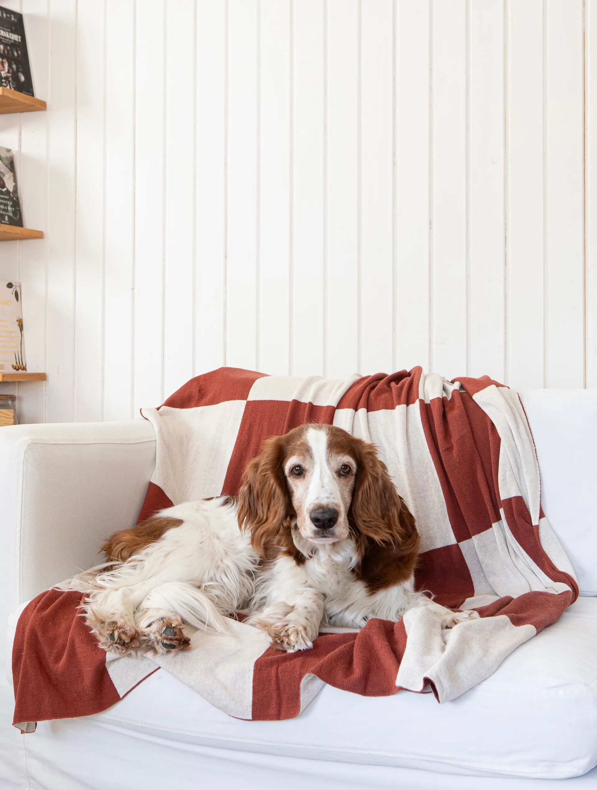 Square Decke 130x170 cm, Dark Brown Classic Collection