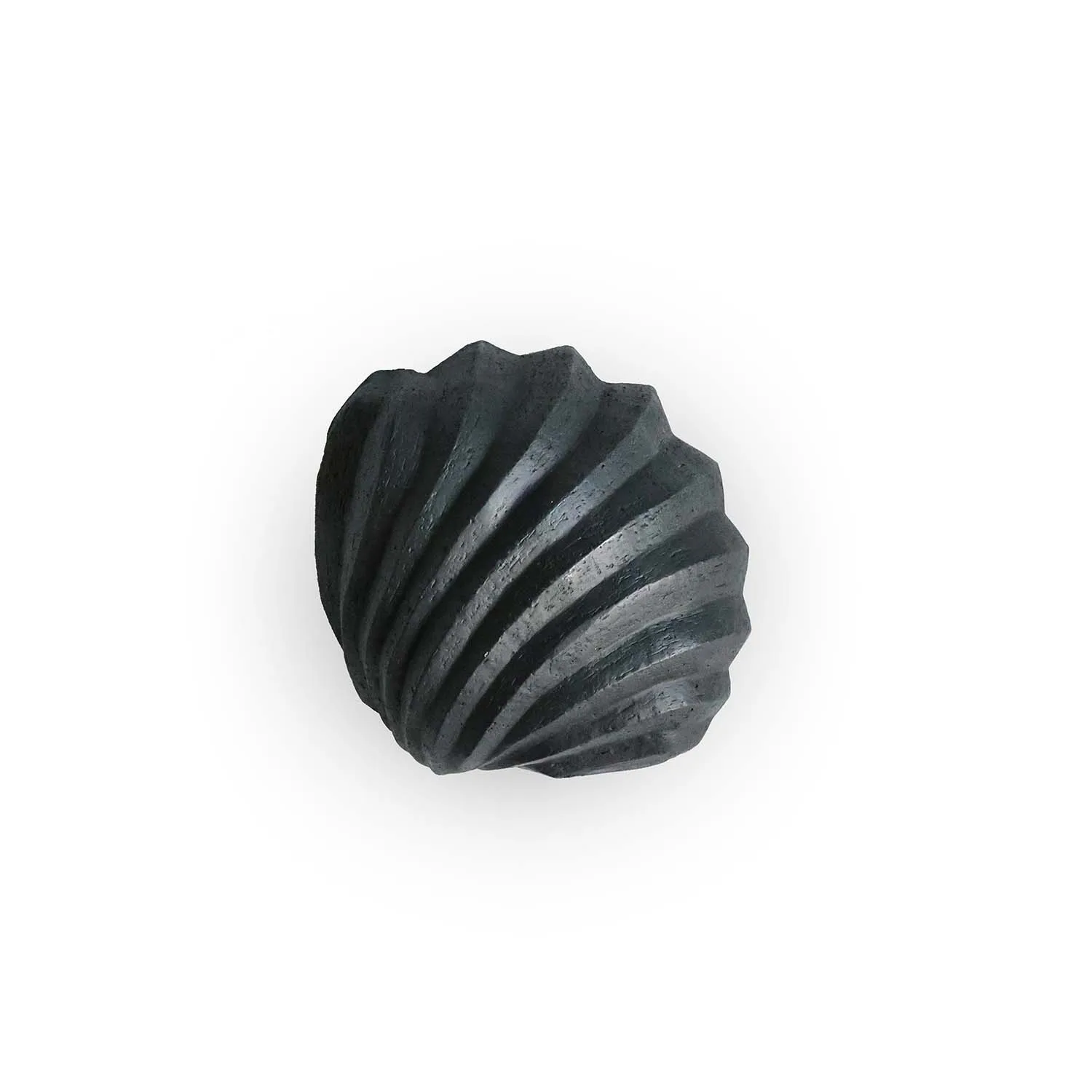The Clam Shell Skulptur 13cm, Coal Cooee Design