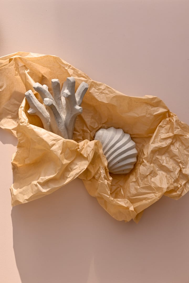 The Clam Shell Skulptur 13cm - Limestone - Cooee Design