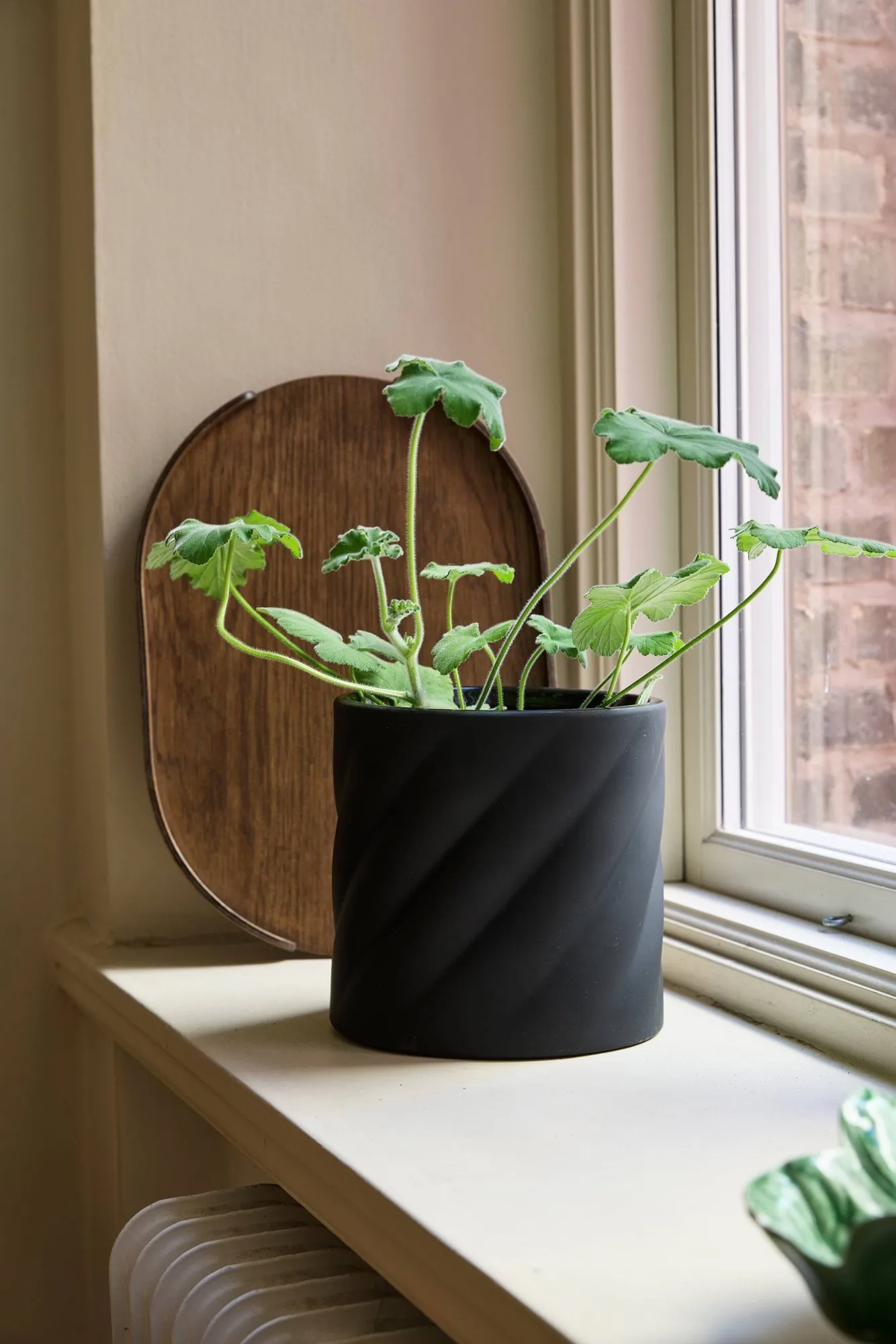 Twist Blumentopf, Schwarz, medium Ø19 cm Cooee Design