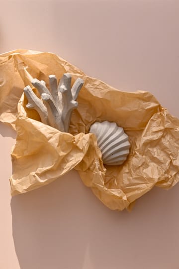 The Clam Shell Skulptur 13cm - Limestone - Cooee