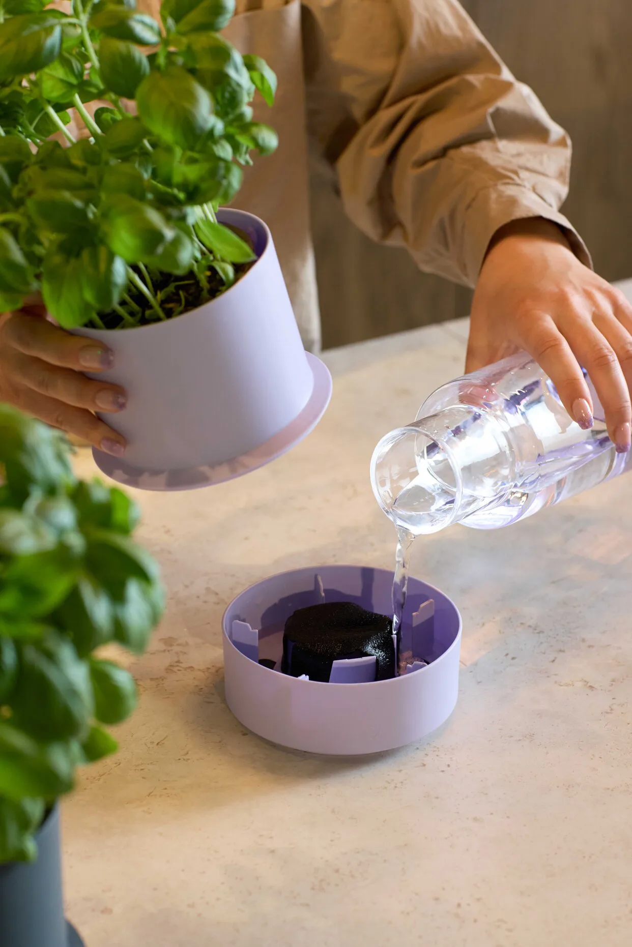 Billund Selbstbewässernder Kräutertopf, Lavender Crushgrind