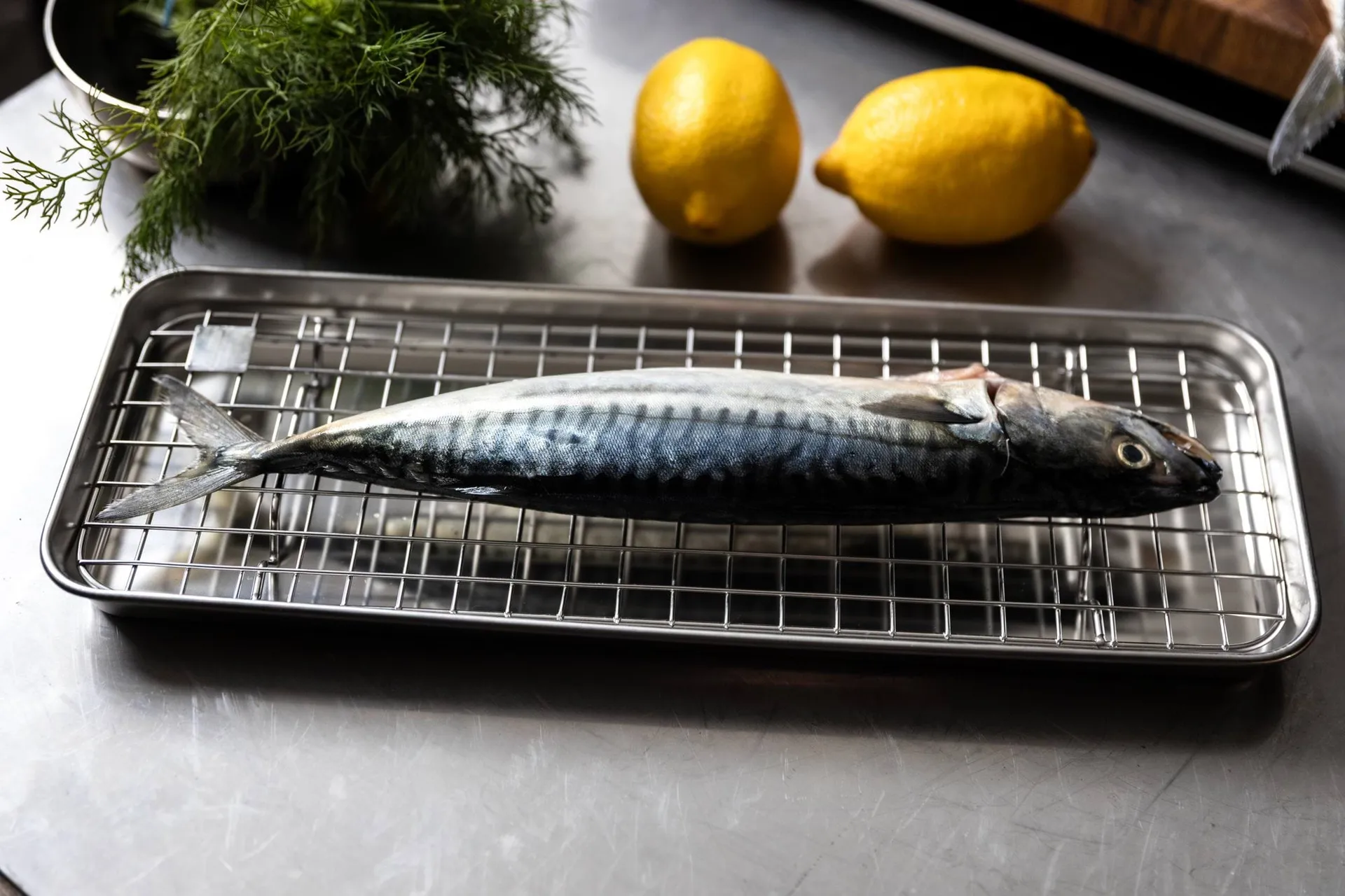 Culimat Gastronormbehälter mit Abkühlgitter, Edelstahl, 38x14x2,5 cm Culimat