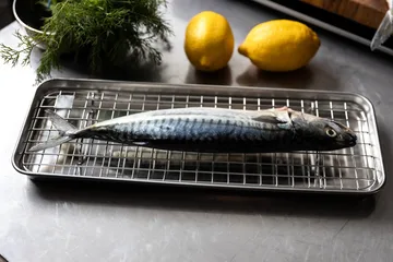 Culimat Gastronormbehälter mit Abkühlgitter - Edelstahl, 38x14x2,5 cm - Culimat