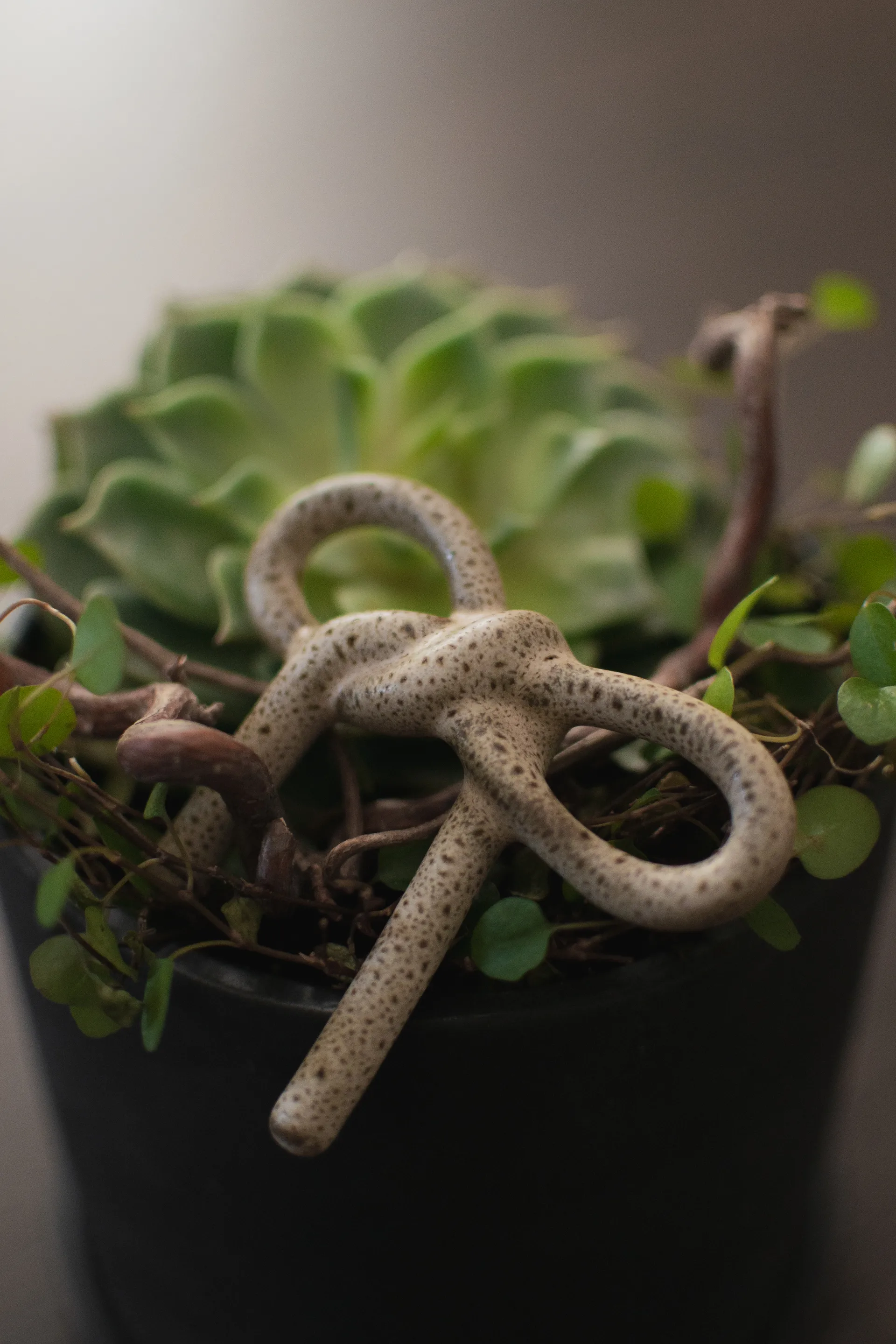 Bow Blumendekoration, Beige DBKD