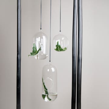 DBKD Blumenampel aus Glas Ø11 cm - Small - DBKD
