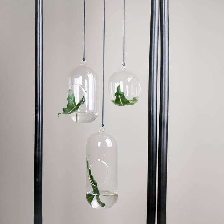 DBKD Blumenampel aus Glas Ø11 cm, Small DBKD