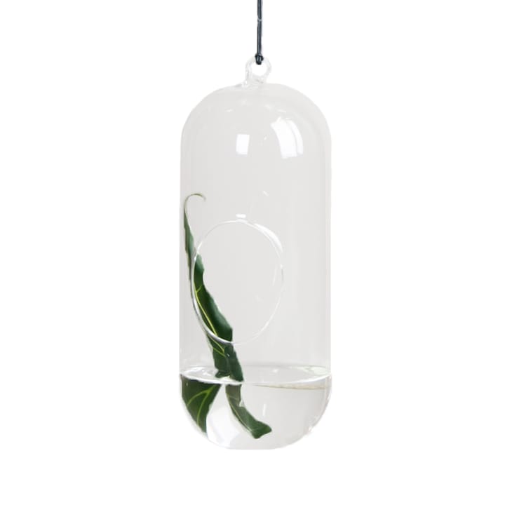 DBKD Blumenampel aus Glas - Large - DBKD