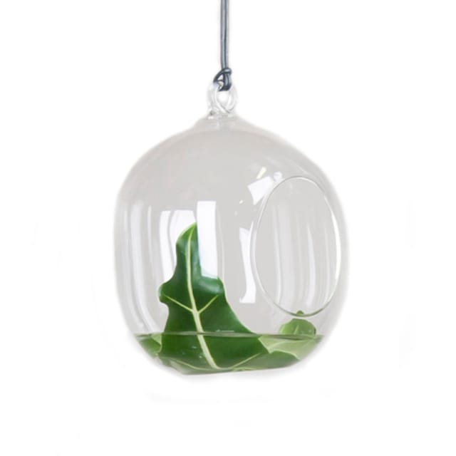 DBKD Blumenampel aus Glas - Small - DBKD