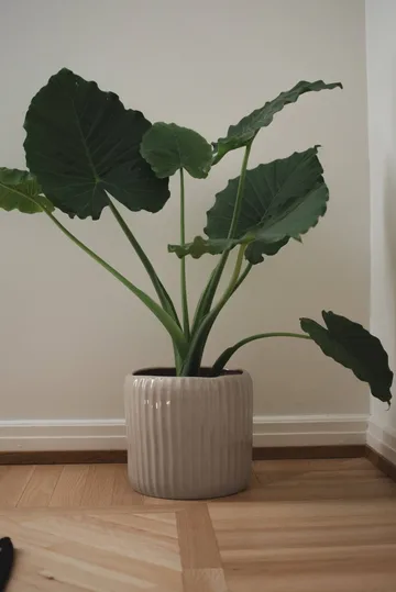 Ease Blumentopf - Shiny mole, Ø30x28 cm - DBKD