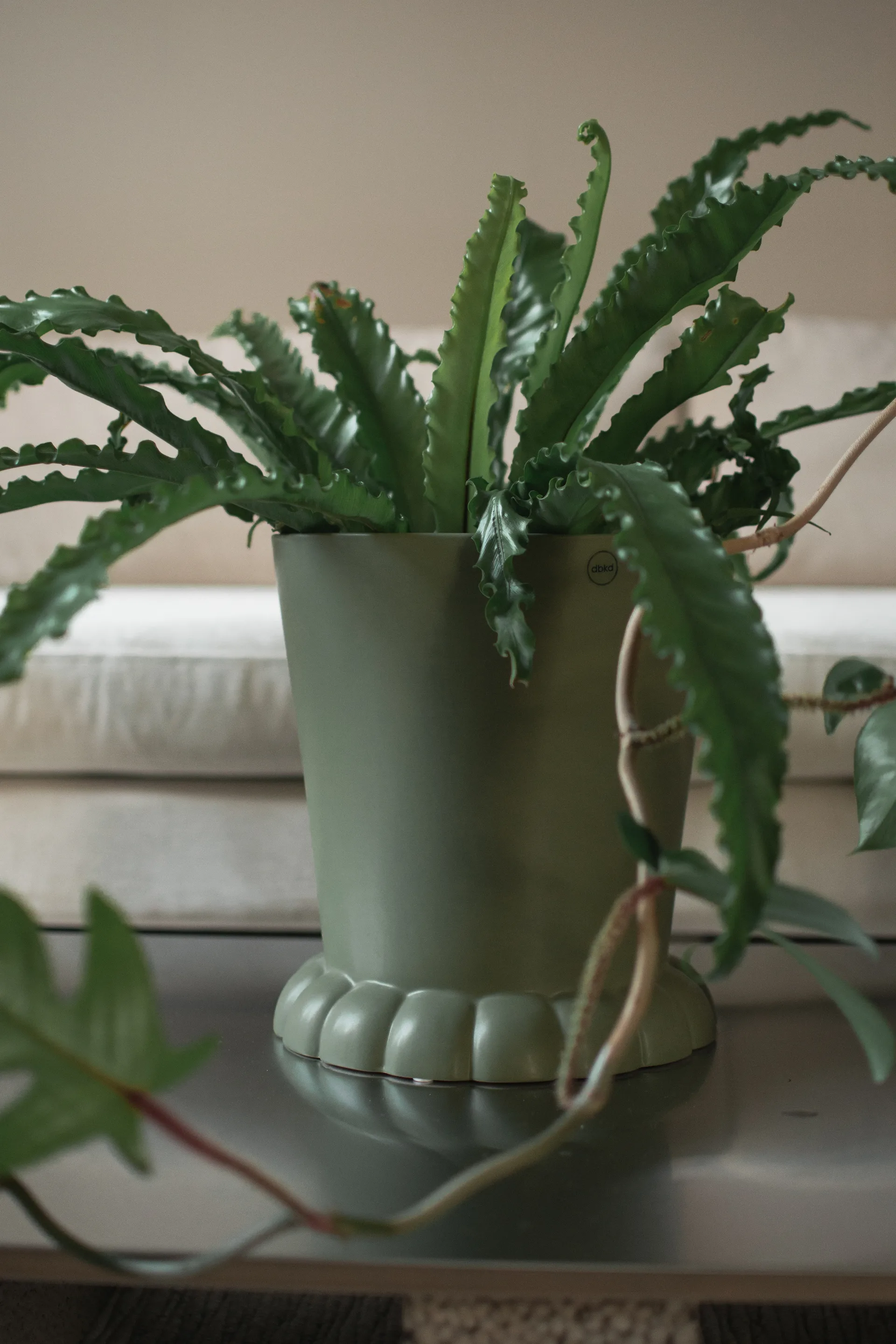 Flora Blumentopf Ø25 cm, Green DBKD