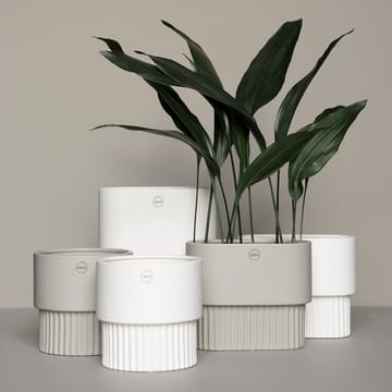 Front Blumentopf Ø16 - Mole - DBKD