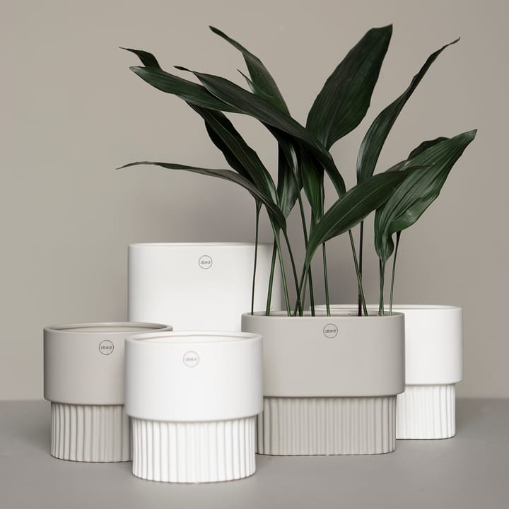 Front Blumentopf Ø16, Mole DBKD