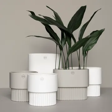 Front Blumentopf oval niedrig - White - DBKD