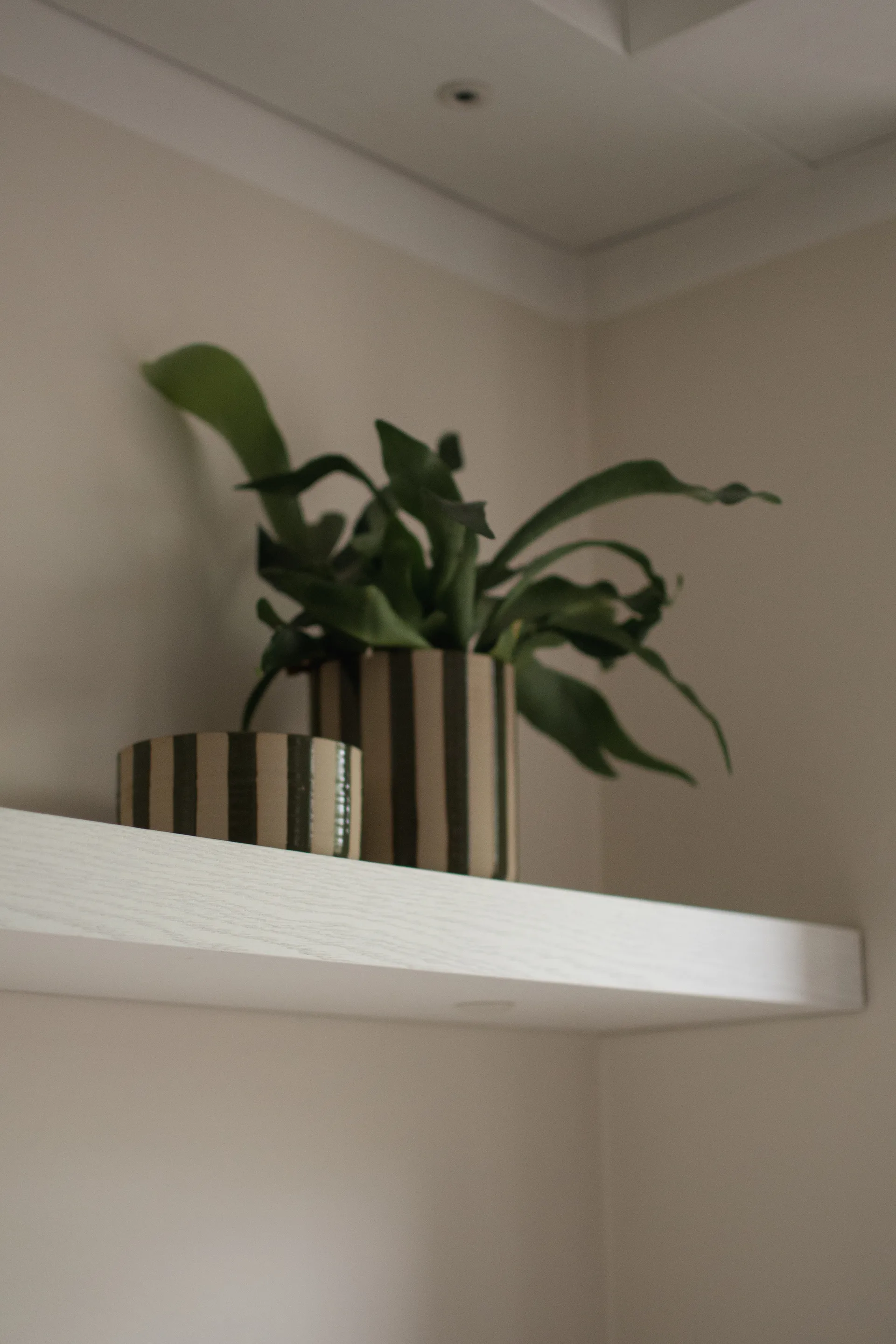 Line Dekorationsschale Ø16 cm, Stripe Green DBKD