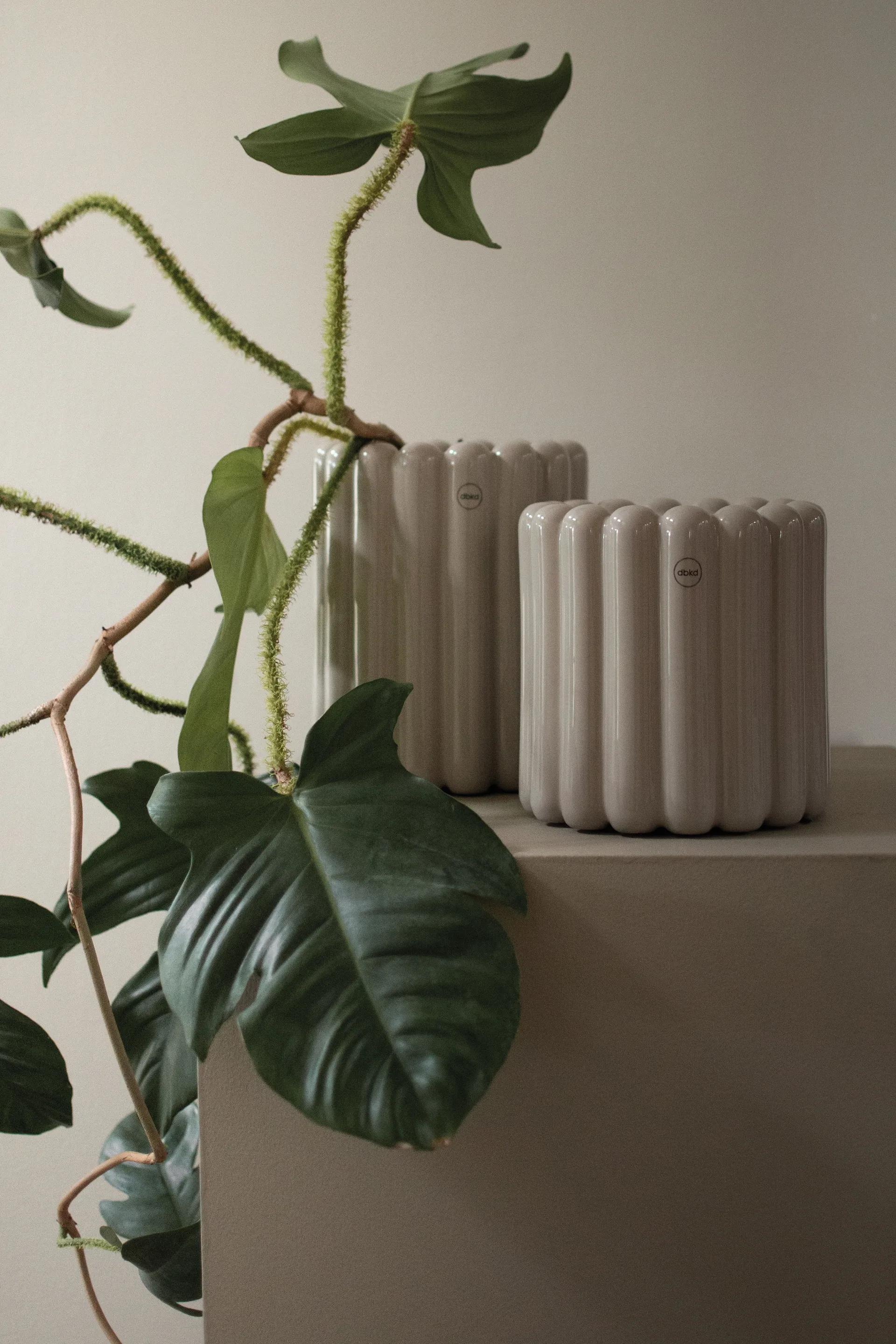 Mist Blumentopf klein Ø19x19 cm, Shiny mole DBKD