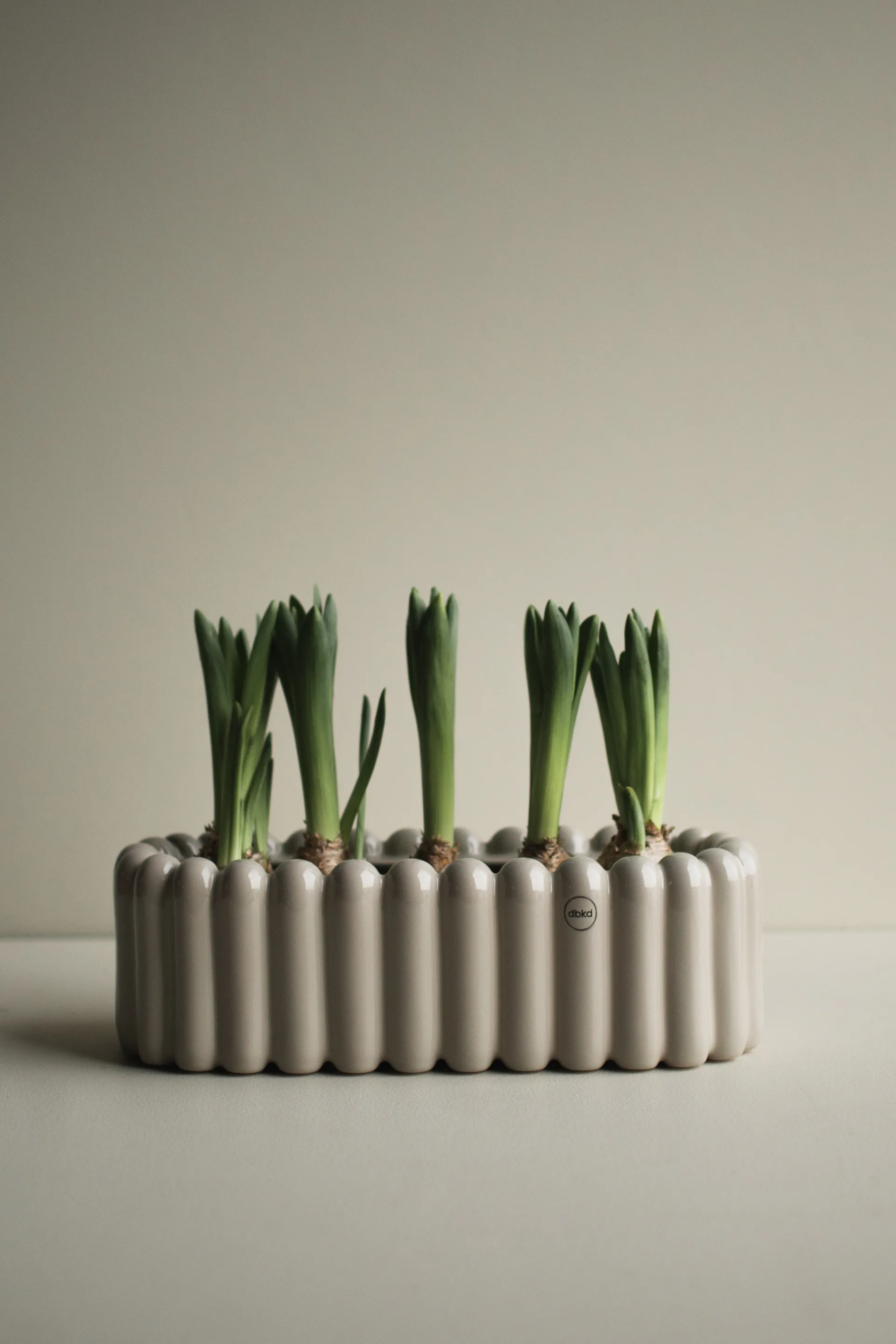 Mist Blumentopf oval small 35cm, Shiney mole DBKD