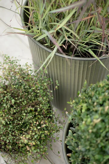 Out stripe Blumentopf 3er Pack - Green - DBKD