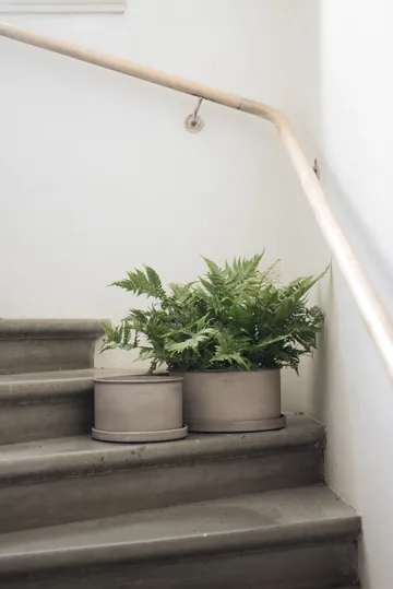 Plant bowl Blumentopf 2er Pack - Beige - DBKD