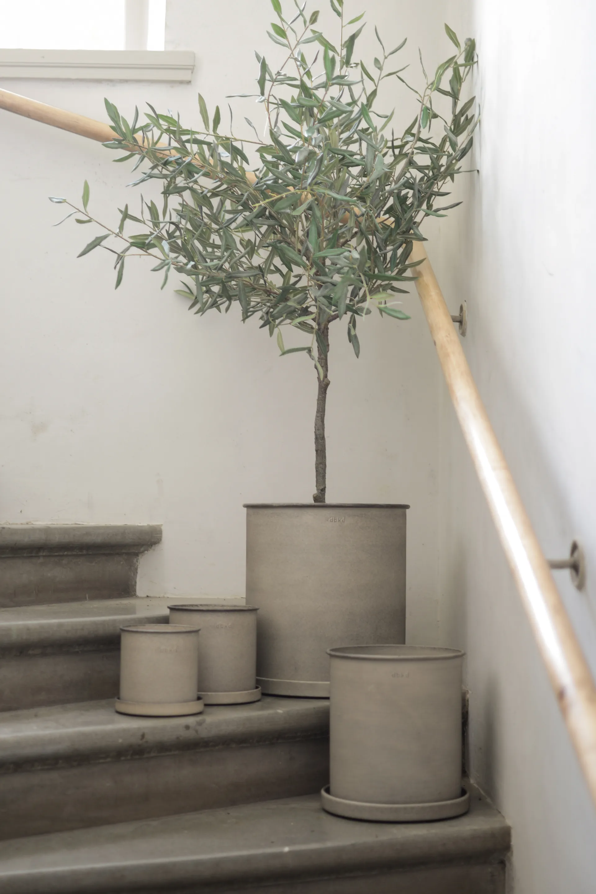 Plant pot Blumentopf large 2er Pack, Beige DBKD