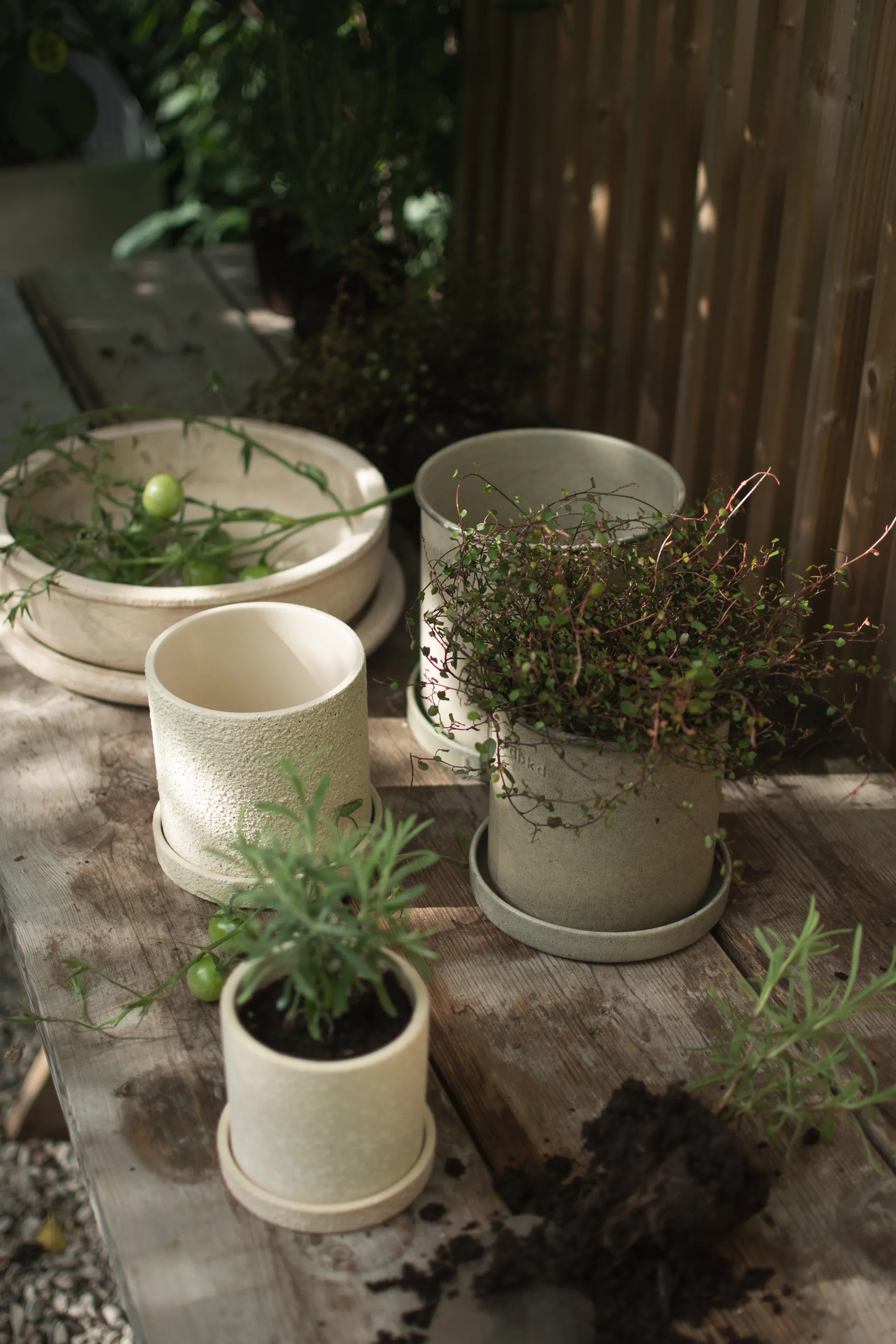 Plant pot Blumentopf small 2er Pack, Beige DBKD