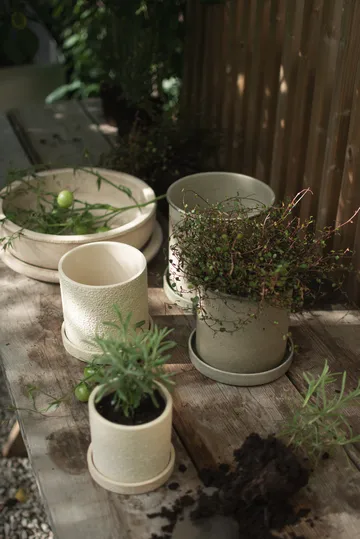 Plant pot Blumentopf small 2er Pack - Beige - DBKD