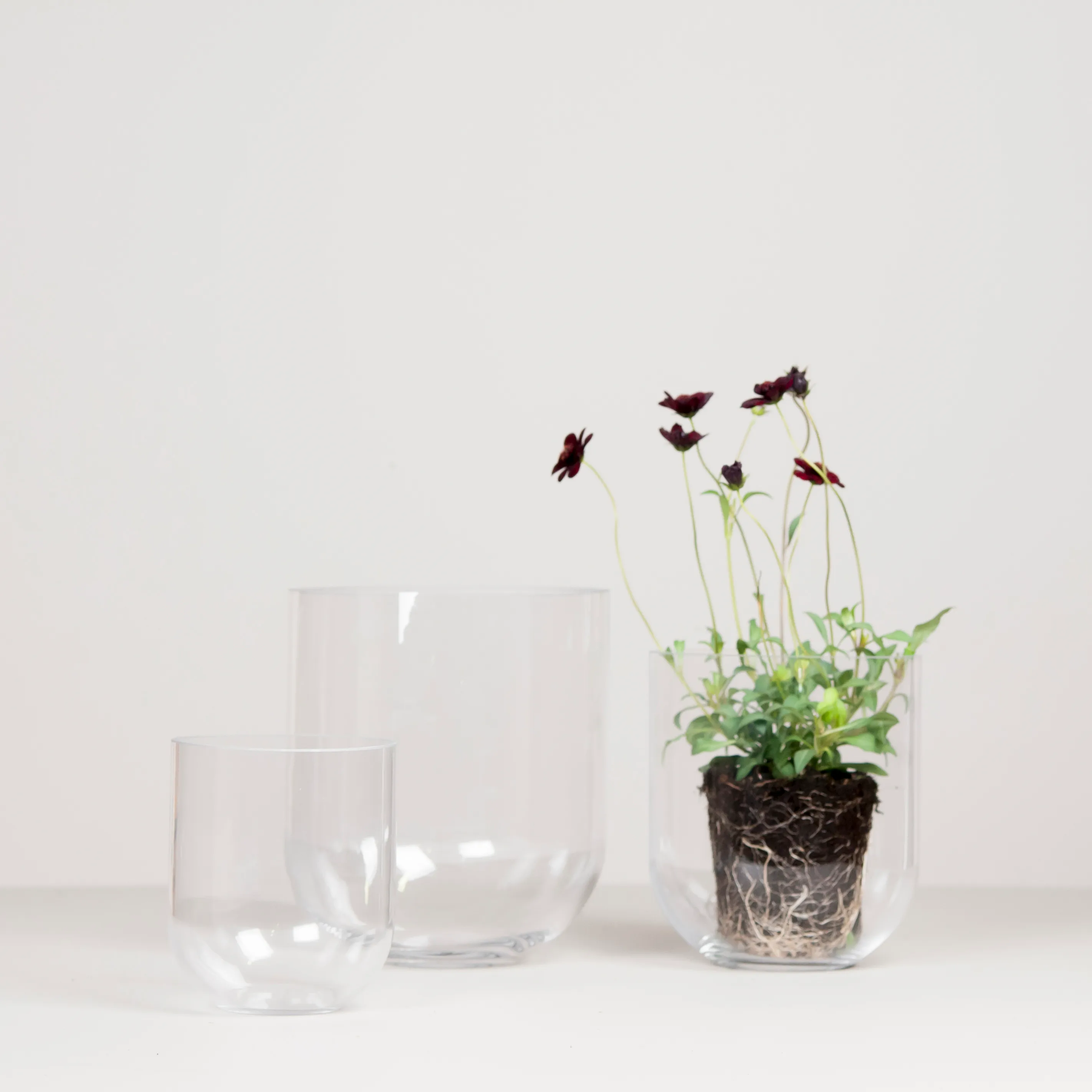 vase weiss skandinavisch Porzellan Esko Color:Black no display