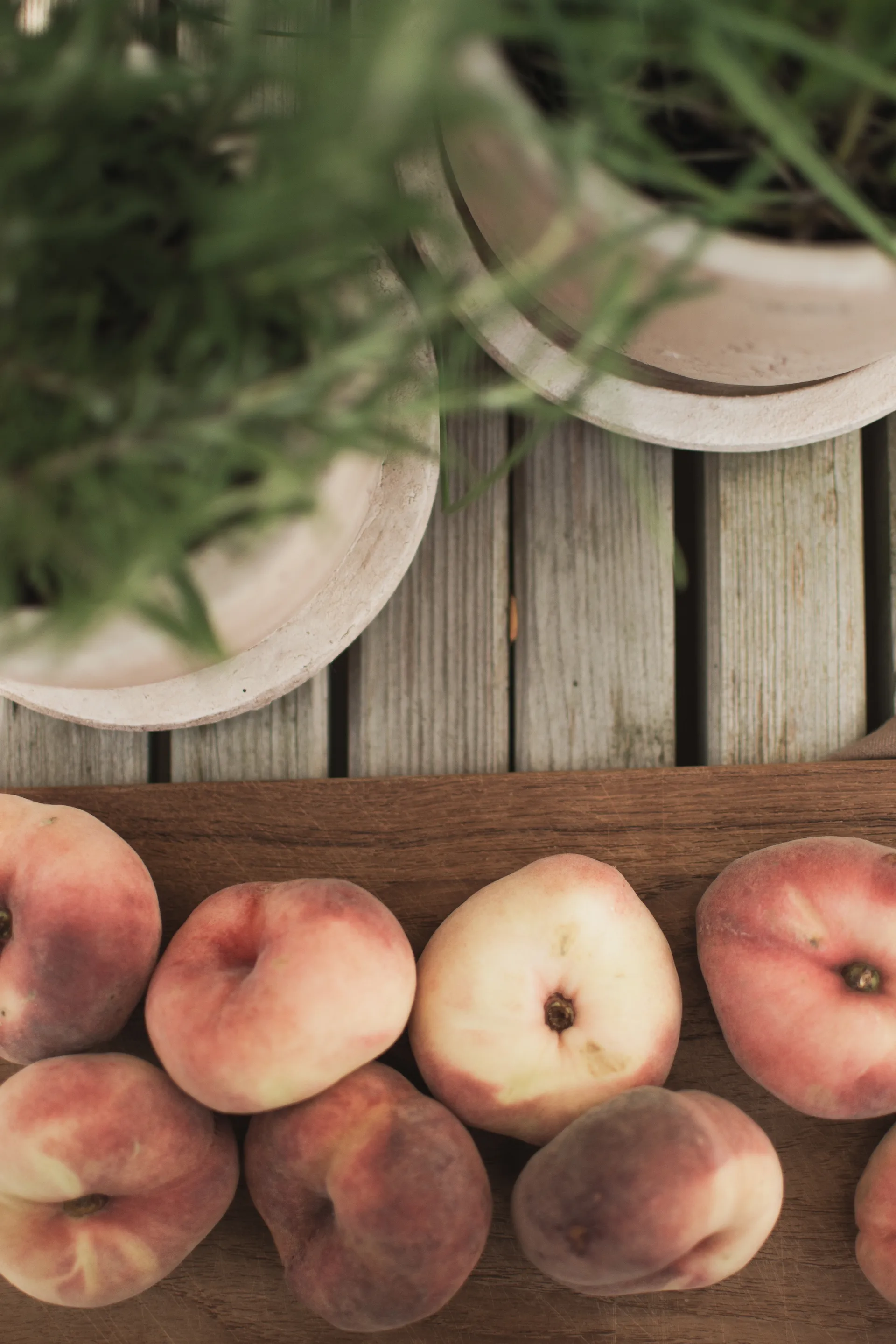 Terra Blumentopf, Sand, Ø16x16 cm DBKD