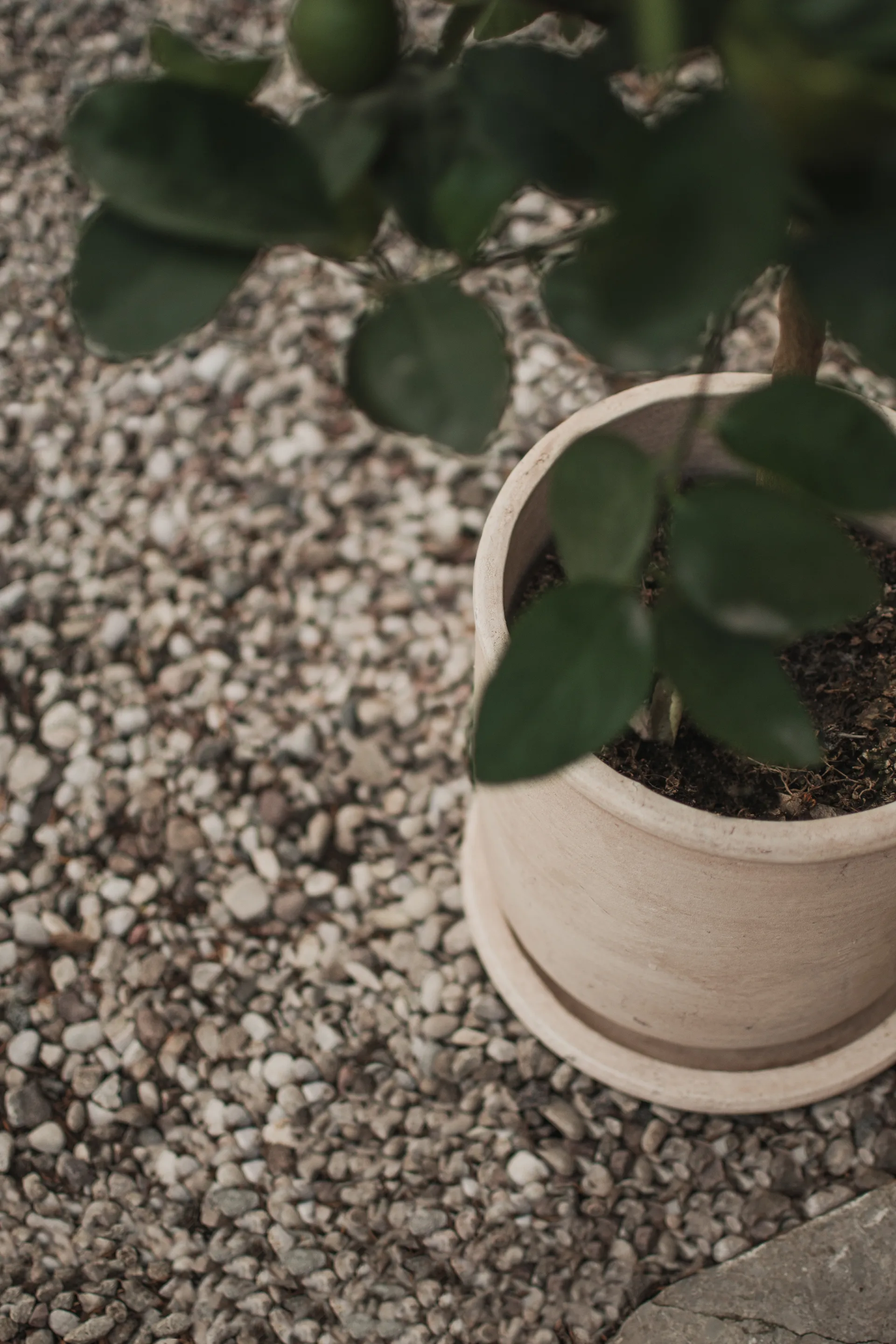 Terra Blumentopf, Sand, Ø23x26 cm DBKD