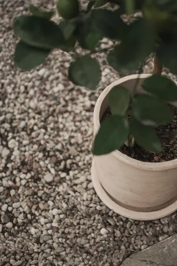 Terra Blumentopf - Sand, Ø23x26 cm - DBKD