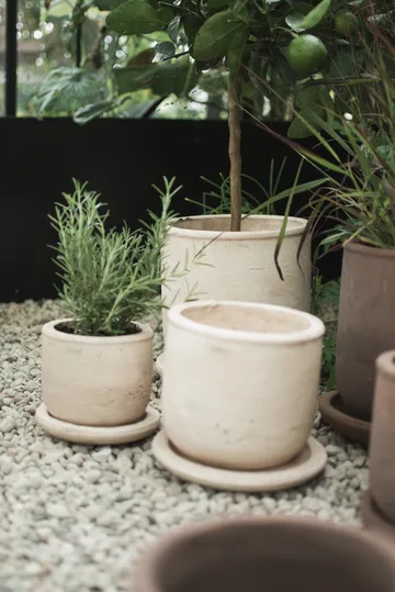 Terra Blumentopf - Sand, Ø23x26 cm - DBKD