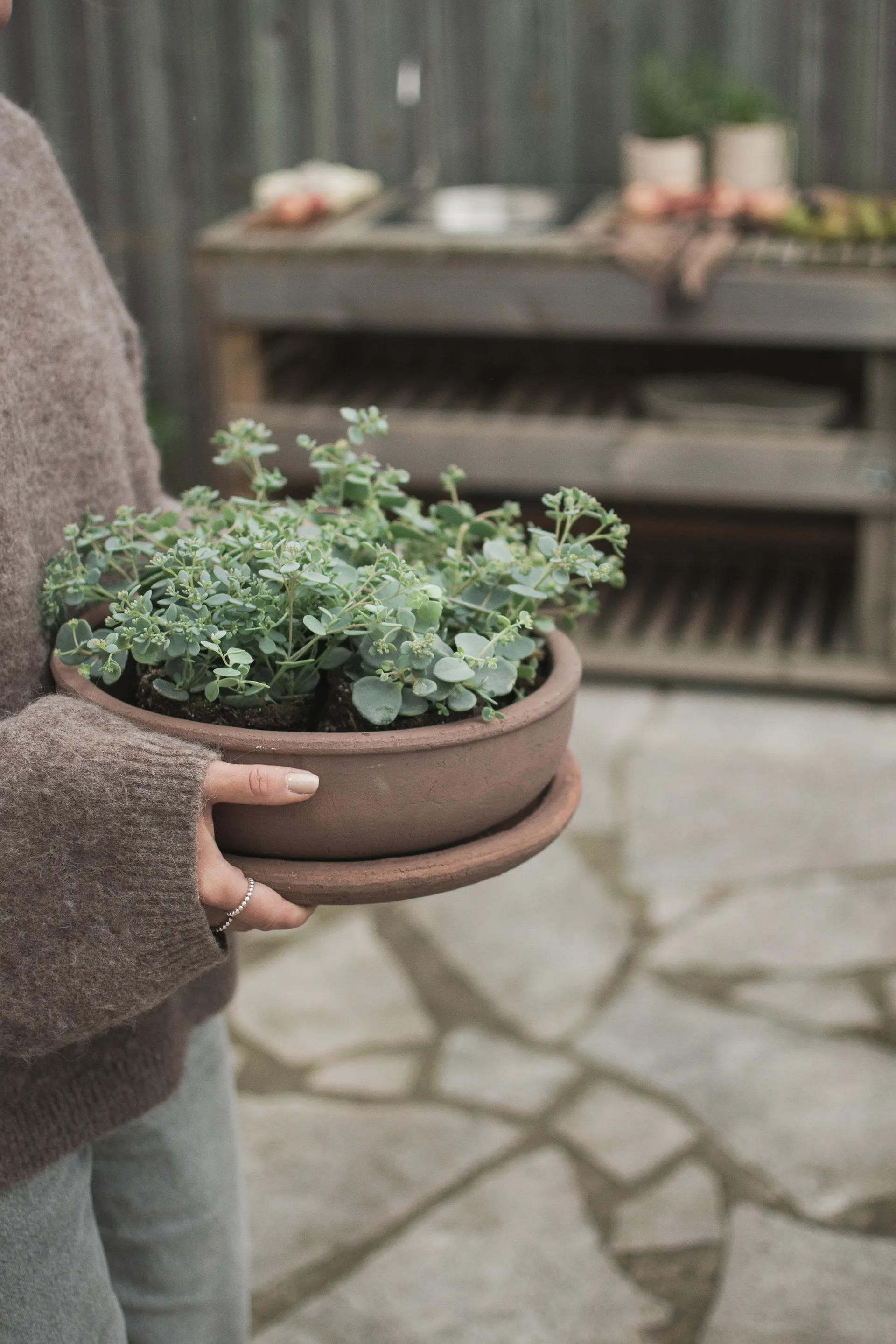 Terra bowl Blumentopf, Brown, Ø30x10,5 cm DBKD