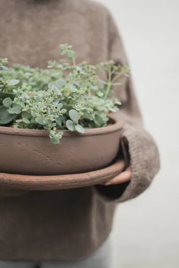 Terra bowl Blumentopf - Brown, Ø30x10,5 cm - DBKD