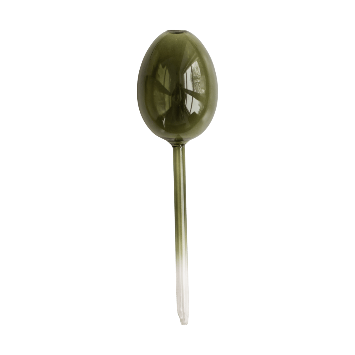 DBKD Waterbubble Selbstbewässerer Green