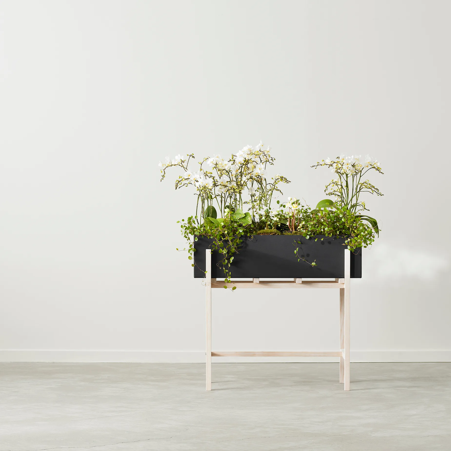 Botanic flower stand, Schwarz-Esche Design House Stockholm