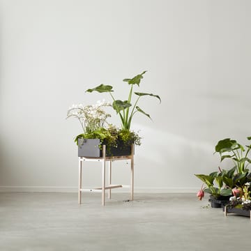 Botanic flower stand - Schwarz-Esche - Design House Stockholm