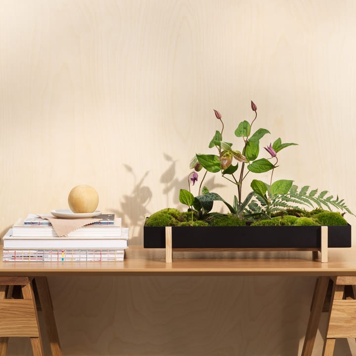 Botanic Flower Tray Blumenschale, Schwarz Design House Stockholm