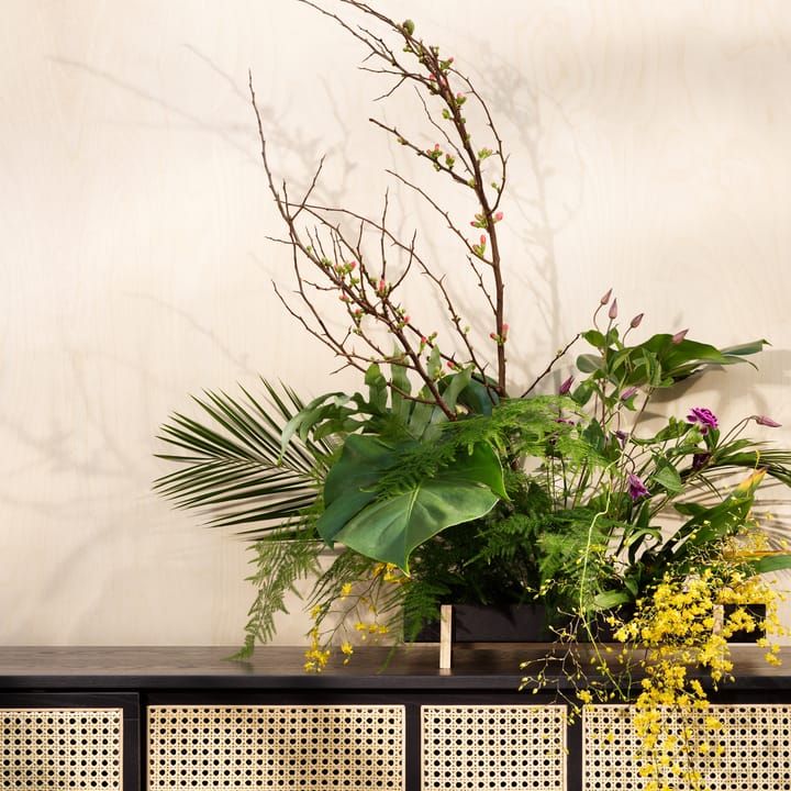 Botanic Flower Tray Blumenschale, Schwarz Design House Stockholm