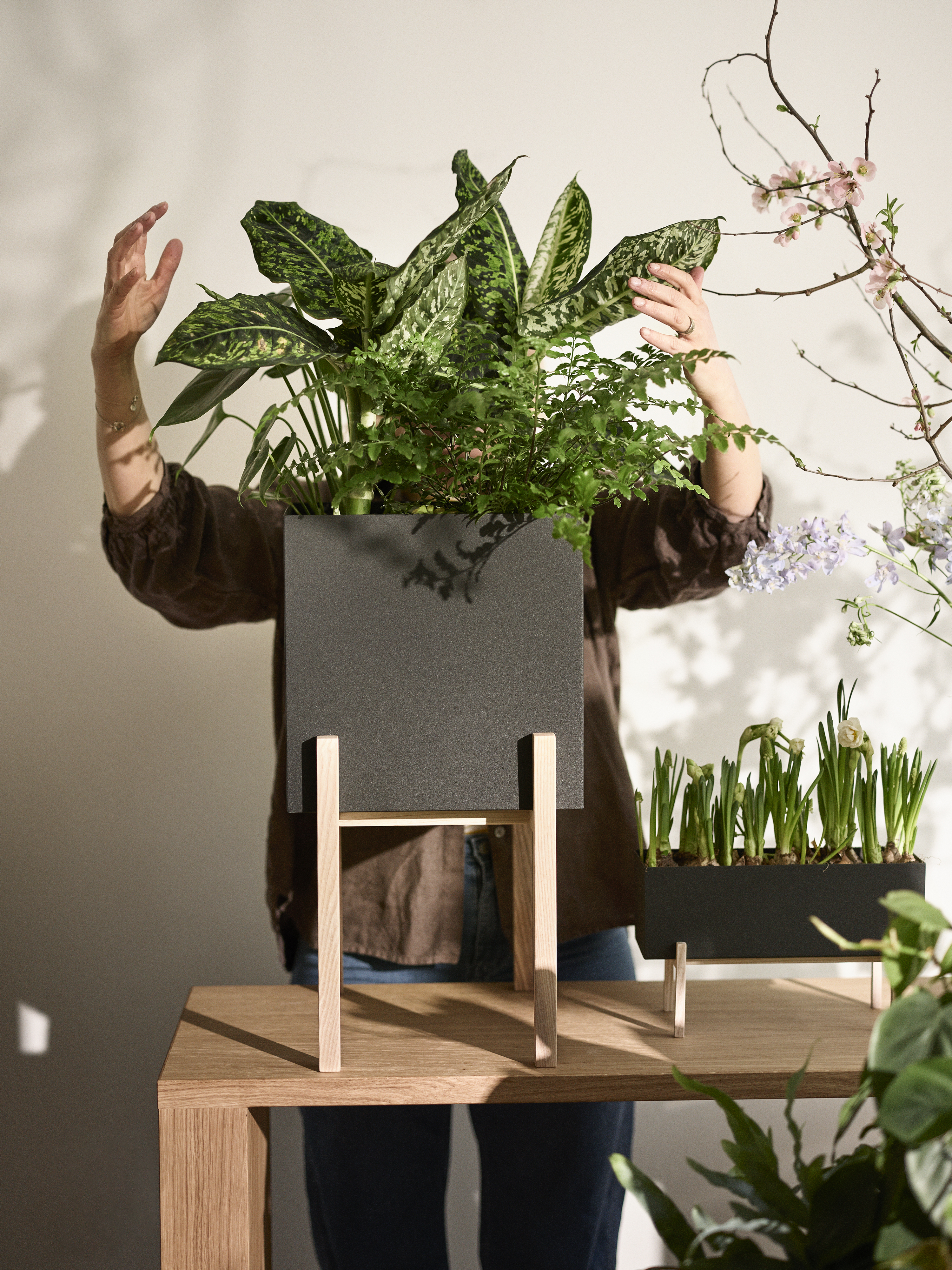 Botanic pedestal Blumentopf | Design House Stockholm →