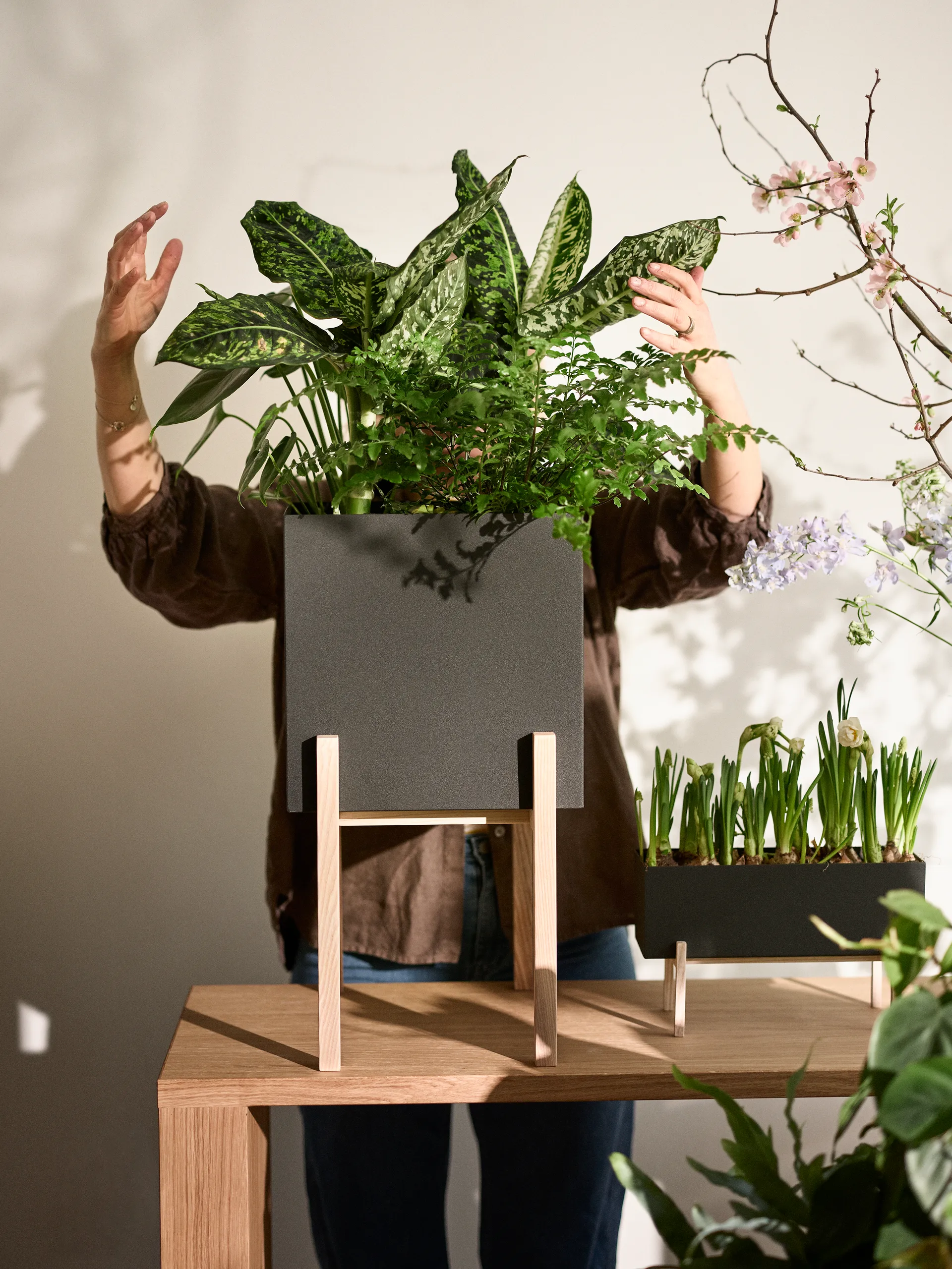 Botanic pedestal Blumentopf, Schwarz-Esche Design House Stockholm