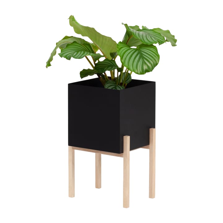 Botanic pedestal Blumentopf - Schwarz-Esche - Design House Stockholm