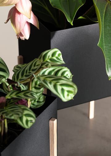 Botanic pot Blumentopf - Schwarz-Esche - Design House Stockholm