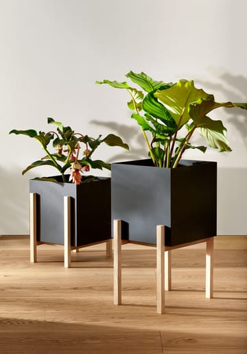 Botanic pot Blumentopf - Schwarz-Esche - Design House Stockholm