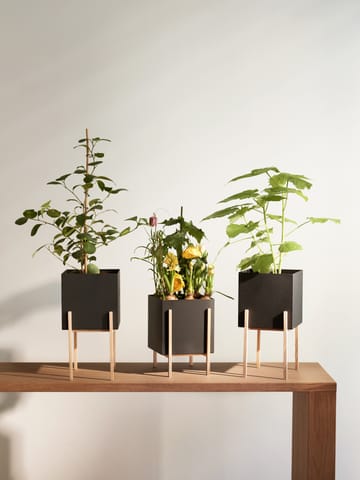 Botanic pot Blumentopf - Schwarz-Esche - Design House Stockholm