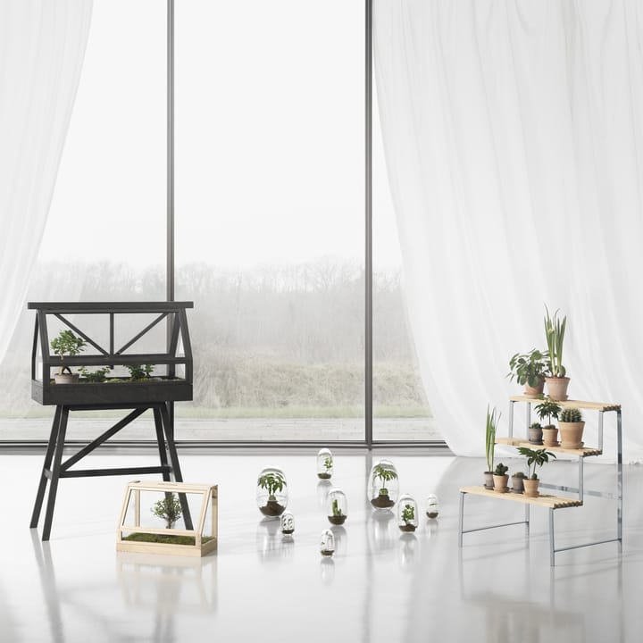 Greenhouse mini Gewächshaus - Esche - Design House Stockholm